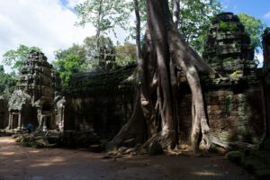 ta Prohm Kambodscha